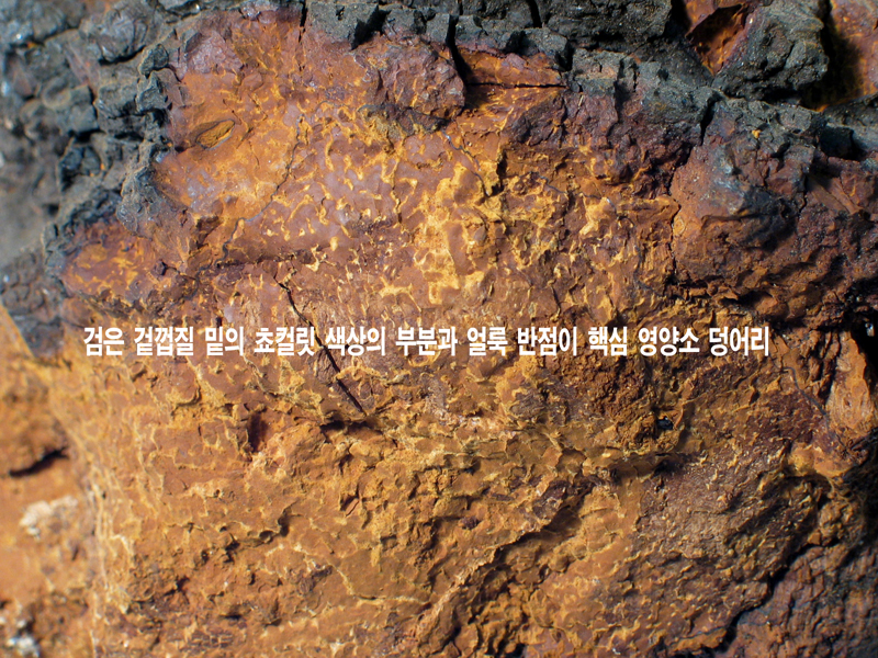 IMG_7817 º¹»ç.jpg