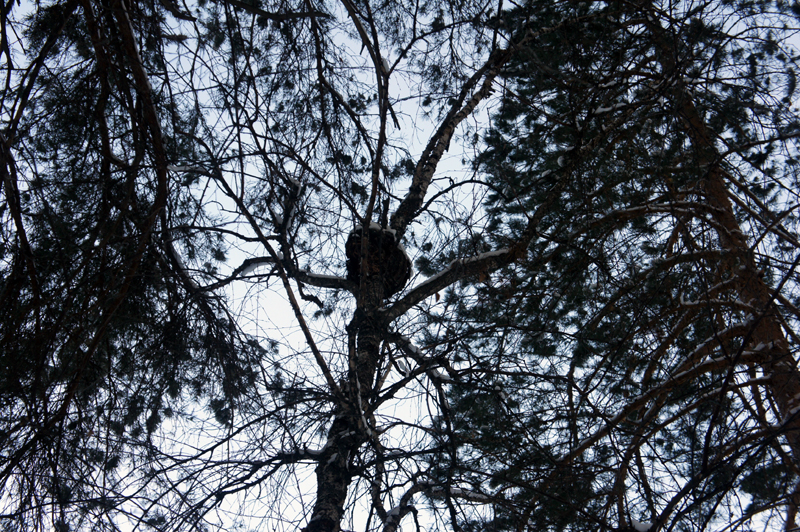 DSC05225.JPG
