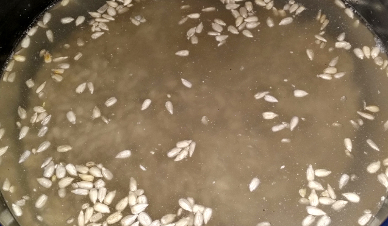 20150407_210506.jpg