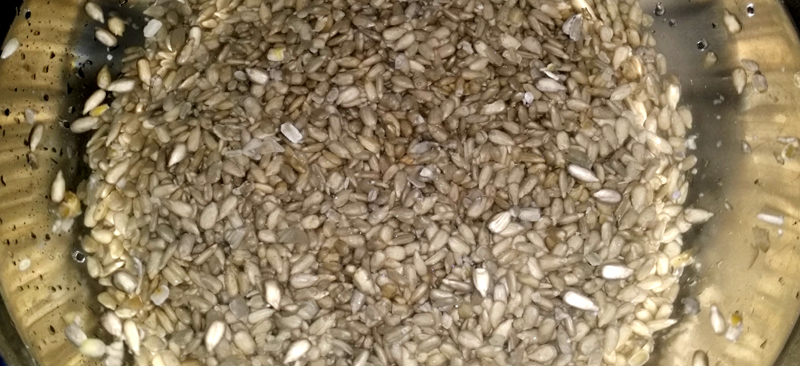 20150407_211949.jpg