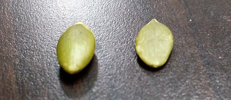 20150407_222446.jpg