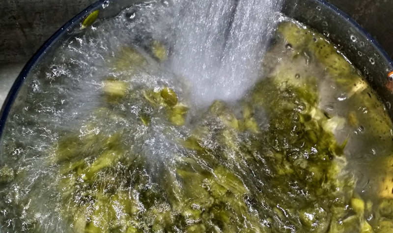 20150407_215603.jpg