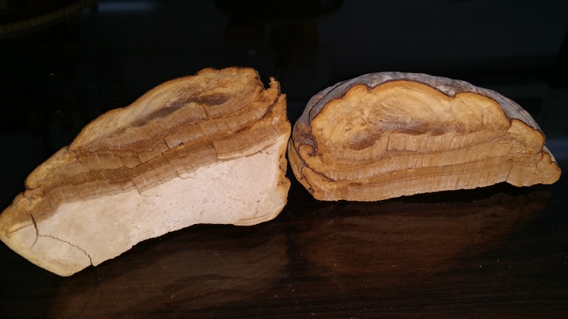 resized_20150610_151437.jpg